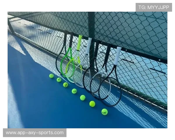 赵磊独家分享网球技巧与心得助你提升球技的全面指南